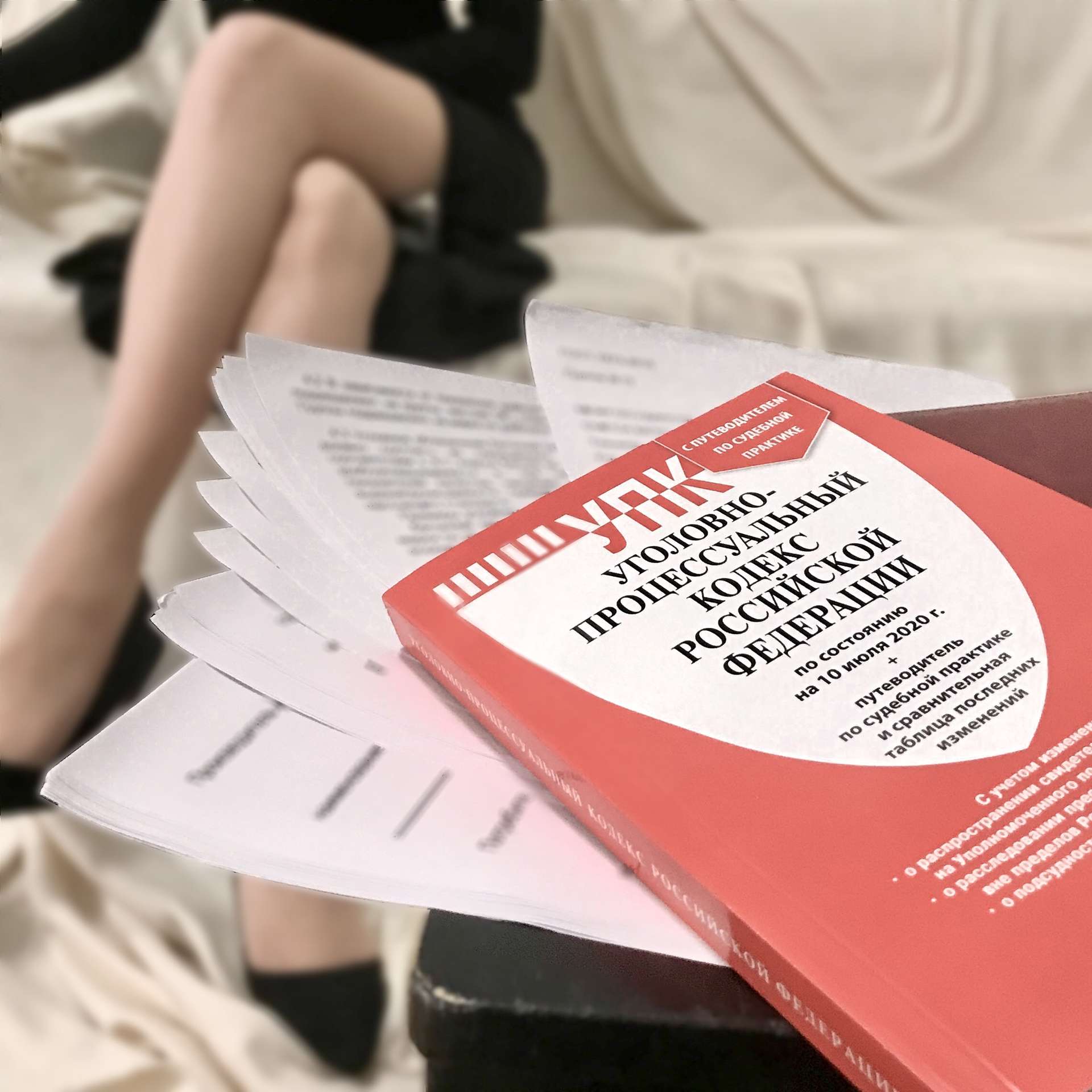 Als ihr Fall vor Gericht verhandelt wurde, arbeitete Daria sich in die russische Strafprozessordnung ein.